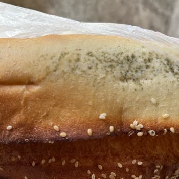 Şok Market'te Satın Aldığım Ekmek Küflü Çıktı, Sağlık Riski Oluştu