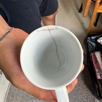 Sapanca Su Bungalov Kötü Hizmette Olması