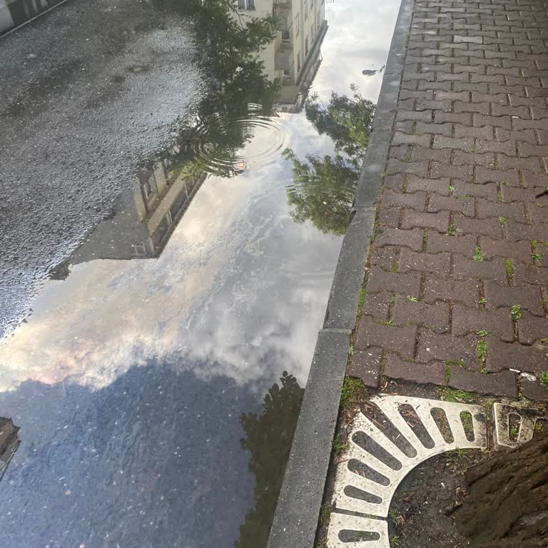 Ordu Caddesi 38 Numaralı Önündeki Su Birikintileri Yol Ve Yaya Güvenliğini Tehdit Ediyor