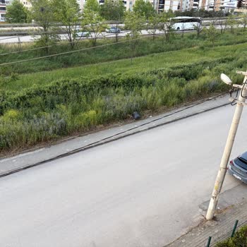 Geçit Mahallesinde Kaldırımlarda Otların Temizlenmemesi