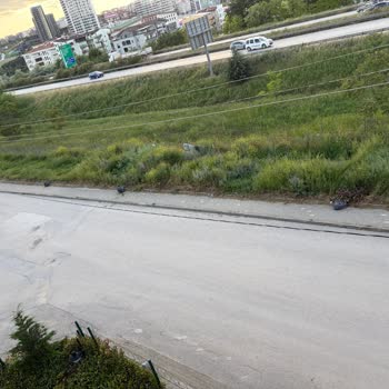 Geçit Mahallesinde Kaldırımlarda Otların Temizlenmemesi