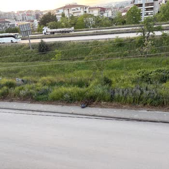 Geçit Mahallesinde Kaldırımlarda Otların Temizlenmemesi