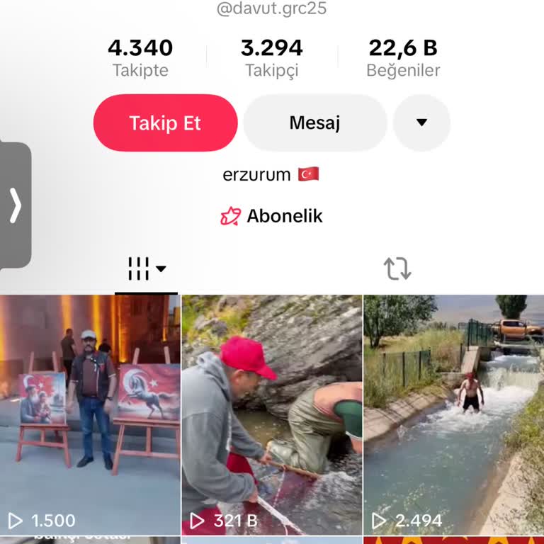 TikTok Hesabım Erişilemiyor, Destek Yanıtı Almıyorum