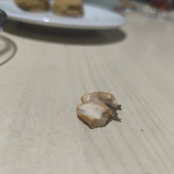 Eryaman Şubesinde Böceklenmiş Kajulu Kuruyemiş Paketi
