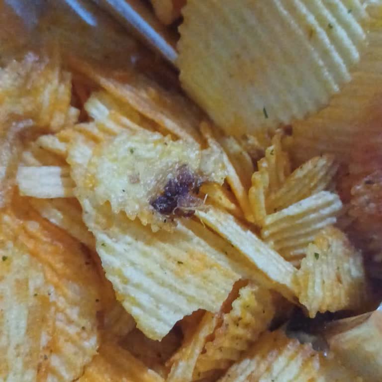 Patito Ketçaplı Cips İçinde Yabancı Cisim Ve Çocuk Sağlığı Riski