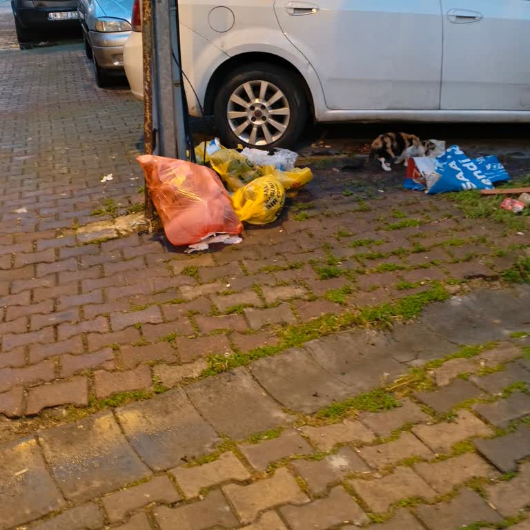 Kağıthane'de Çöp Varili Eksikliği Ve Koku Sorunu Çözülmedi