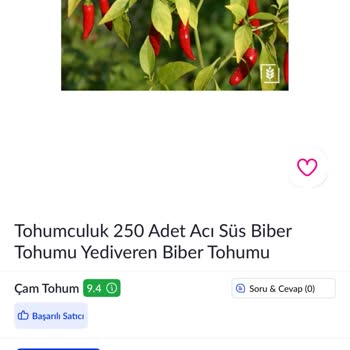Aras Kargo’da 13 Gün Boyunca Teslim Edilmeyen Kargo Ve Satıcı İhmaline Şikayet