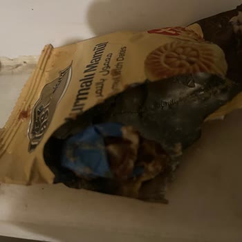 Hurmalı Mamul İçinde Balon Benzeri Yabancı Madde Ve Sağlık Endişesi