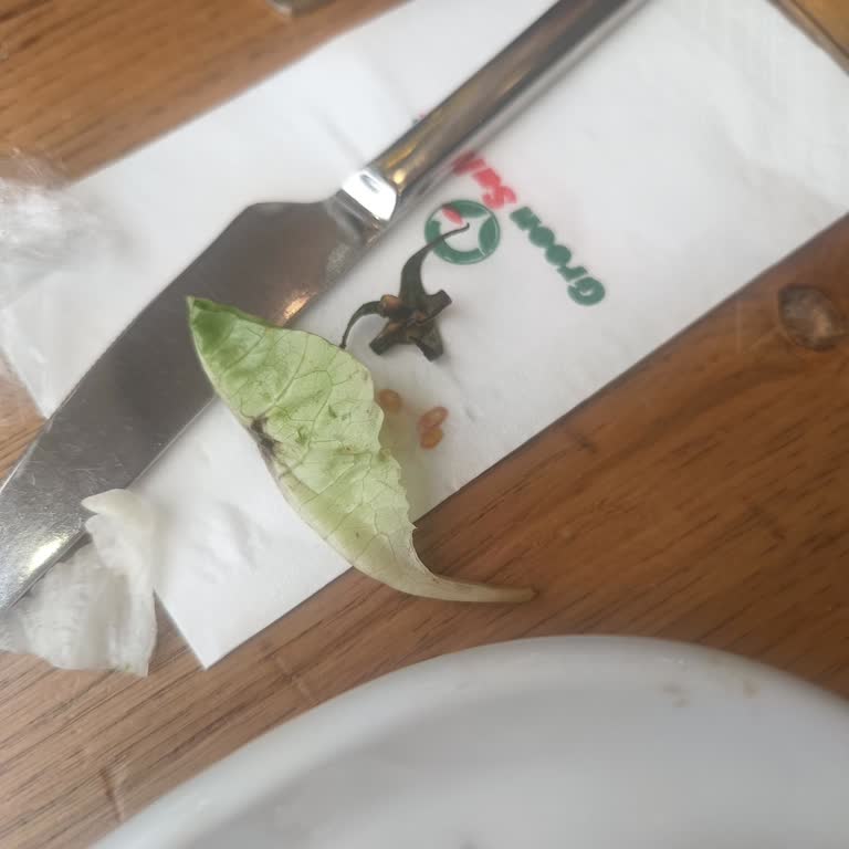 Yanıltıcı Fiyatlandırma, Çürük Salata Ve Hijyen Sorunu