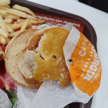 Burger King Tavuk Menüsünde Böcek Benzeri Madde Bulundu