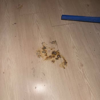 Sinbo Vantilatörün Alev Almasıyla Oluşan Yangın Tehlikesi