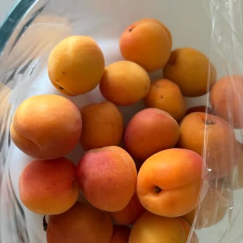 Migros Şubesinde Ham Kavun Ve Bozuk Kayısı, Cevapsız Şikayet