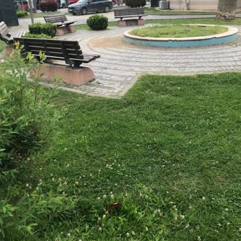 Burger King Çevresindeki Kamusal Dinlenme Alanı Araçlarla İşgal Ediliyor Ve Havuz Kumla Doldurulmuş