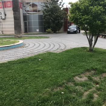 Burger King Çevresindeki Kamusal Dinlenme Alanı Araçlarla İşgal Ediliyor Ve Havuz Kumla Doldurulmuş