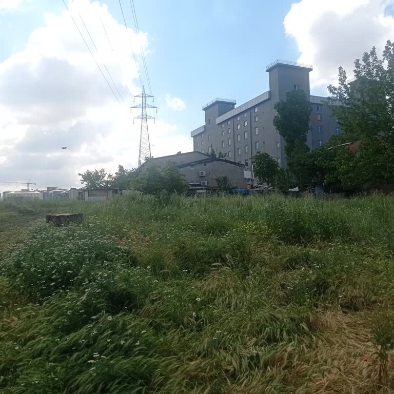 Görünmeyen Sokak Kısımlarındaki Ot Kesiminde Sürekli İhmaller