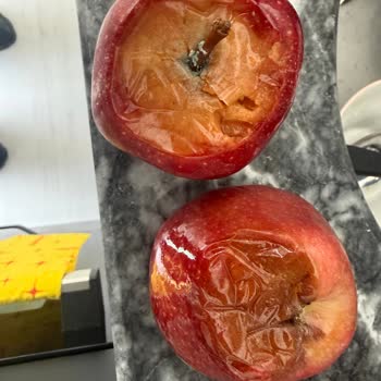 Migros Sanal Markette Seçimsiz Elma Teslimatı Ve Cevapsızlık
