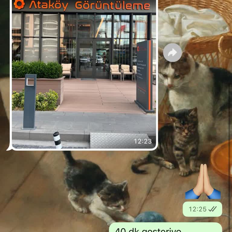 Yanıltıcı Telefon Bilgisi Ve Uzun Bekleme Süresi Nedeniyle Yaşanan Mağduriyet