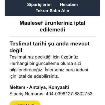 Amazon’da Kedi Ürünüm Kargoya Verilmedi, İptal Ve İade İmkansız