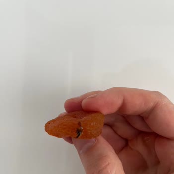 Kuru Kayısı Paketinde Böcek Tespit Edildi Ve Sağlık Endişesi