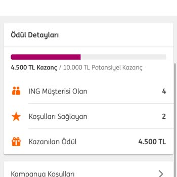 ING Bank Arkadaşını Getir Kampanyasında Ödüller Yatırılmadı