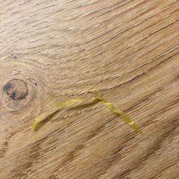 Pidede Plastik Parça Hijyen İhlali