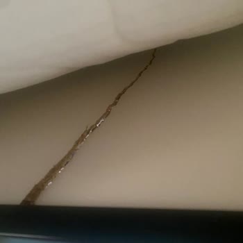 Garanti Kapsamındaki Kırık Baza Ve Yırtık Yatak İçin Servis Yönlendirilmedi