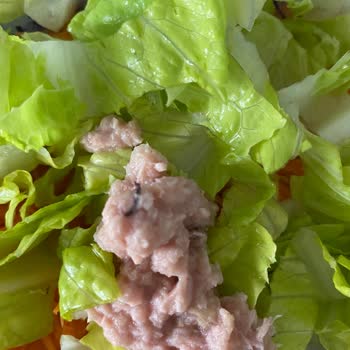 Superfresh Light Ton Balığında Siyah Maddeler Ve Kan Benzeri Görüntüsü: İade Talebi