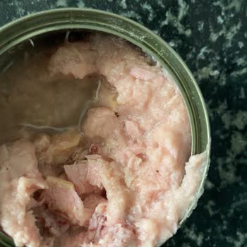 Superfresh Light Ton Balığında Siyah Maddeler Ve Kan Benzeri Görüntüsü: İade Talebi