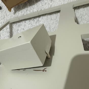 Sürekli Kırık Gelen Bebek Ürünü Ve İade Sorunları