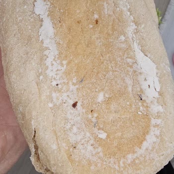 BİM Sandviç Ekmeğinde Metal Parçaları, Sağlık Riski Ve Cevap Yok