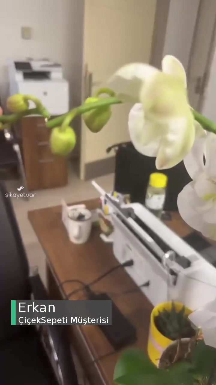 Çiçek Sepeti videonun kapak resmi