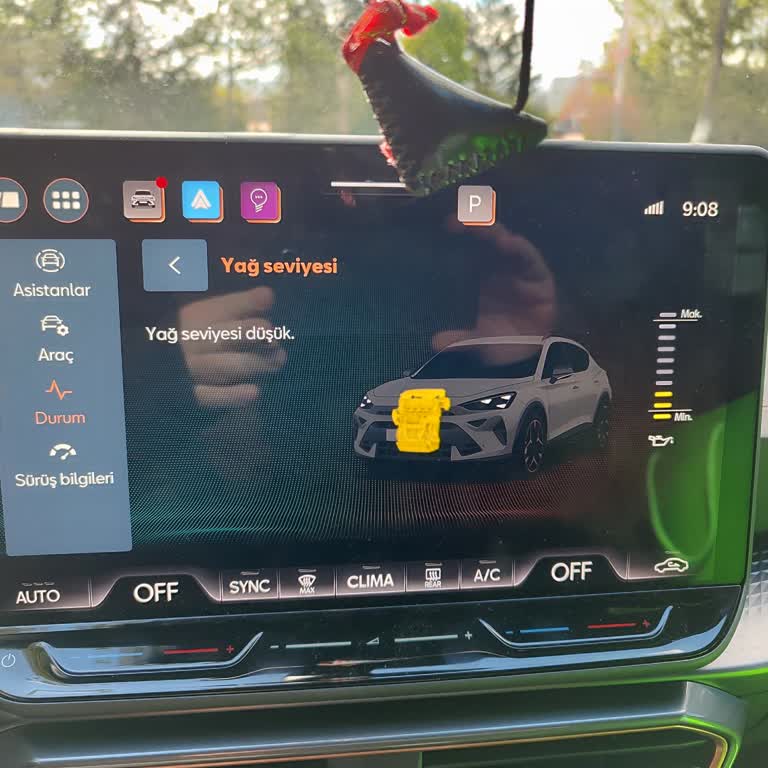 Yeni Cupra Formentor’da Yağ Kaybı, Balata Sesi, Kilitlenme Ve Leke Sorunları