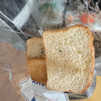 Müddetine Kalmış Küflü Tost Ekmeği İade İçin Mağazaya Geri Dönme Zorunluluğu