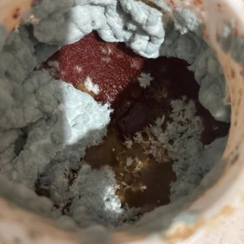 Öncü Salçasında Küf Sorunu Ve Ürün Değişimi Talebi