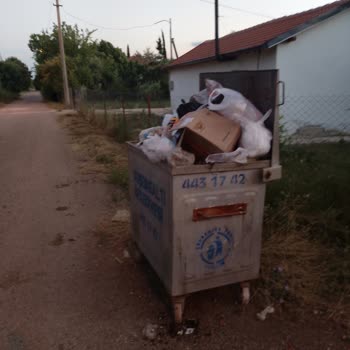 Çıplaklı Mahallesi'nde Çöp Toplanmaması Kirlilik Ve Sağlık Riski Yaratıyor