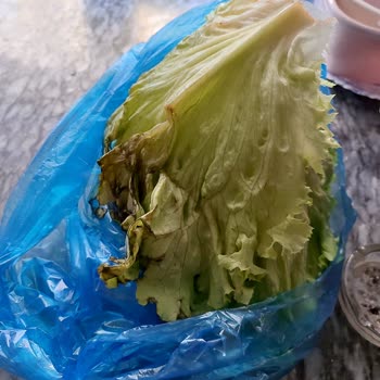 Garanti Kapsamındaki Şişen Buzdolabının Değişimi Talep Ediliyor