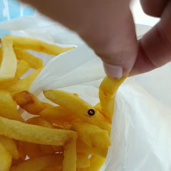 Böcekli Dondurulmuş Patates Ürünüyle Sağlık Ve Hijyen Endişesi
