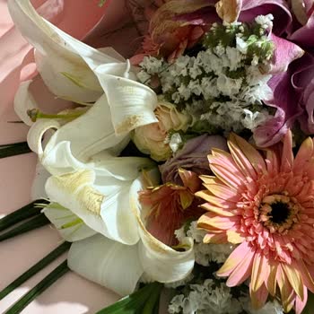 Rose Art Çiçek & Çikolata & Organizasyon Solmuş Çiçek Kabul Etmiyoruz