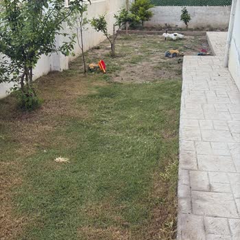 Hatay Defne Peyzaj Ve Fidancılık İş Hem Yarım Bırakıldı Hem De Mevcut Uygulamalarda Hatalar Oluştu