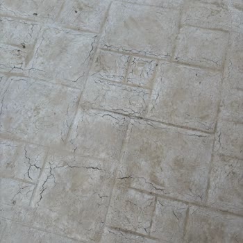 Hatay Defne Peyzaj Ve Fidancılık İş Hem Yarım Bırakıldı Hem De Mevcut Uygulamalarda Hatalar Oluştu