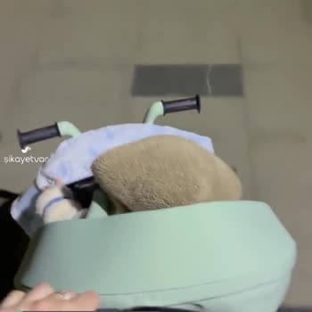 Pregobaby Prego Dino Plus Ebeveyn Kontrol Kolu