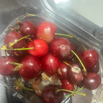 Migros Çürük Meyve Ve Kaba Teslimat Güveni Zedeler