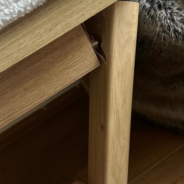 Kırık Bench Ürünüm İçin Garanti Değişimi Sağlanamıyor
