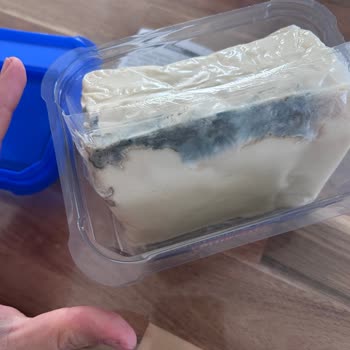Küflü Peynir Teslimatı Ve Cevapsız Müşteri Hizmetleri