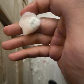 İçim Markasının Küflü Ürünü Ve Sağlık Tehdidi