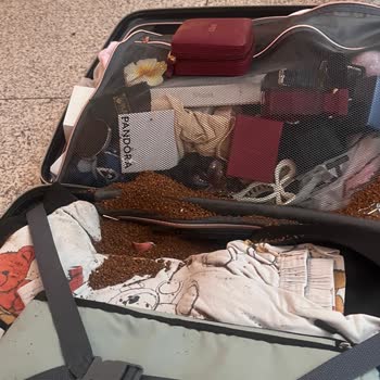Sunexpress Uçuş Gecikmesi Ve Hasarlı Bagajda Yardım Yok