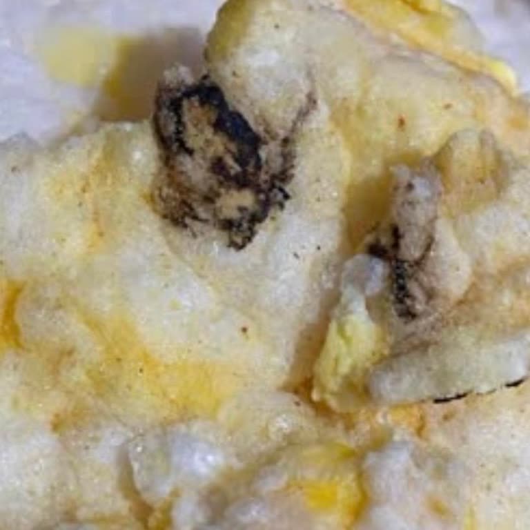 BİM Ürünlerinde Fare Dışkısı Ve Tüyü Bulunması Hijyen Sorunu