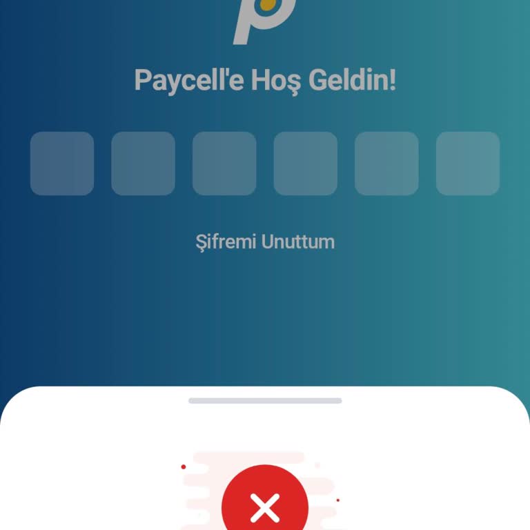 Güvenlik Kısıtlaması Nedeniyle Hesabıma Girişim Engellendi Ve 8000 TL'lik Paramı Kullanamıyorum