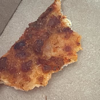 Domino's Pizza’da Böcek Ve Hijyen İhmali