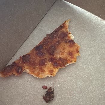 Domino's Pizza’da Böcek Ve Hijyen İhmali